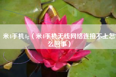 米4手机4g（米4手机无线网络连接不上怎么回事）