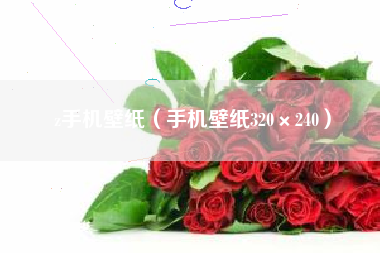 z手机壁纸（手机壁纸320×240）