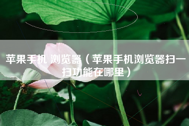 苹果手机 浏览器（苹果手机浏览器扫一扫功能在哪里）