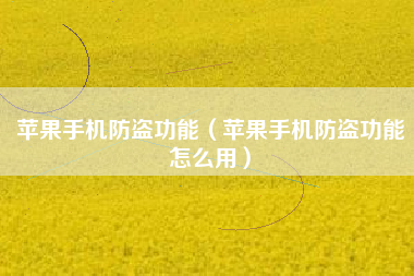 苹果手机防盗功能（苹果手机防盗功能怎么用）