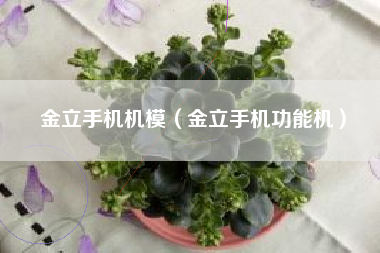 金立手机机模（金立手机功能机）