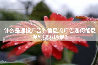什么是通投广告？信息流广告如何能展现到搜索场景？