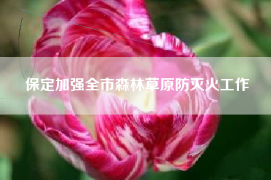 保定加强全市森林草原防灭火工作
