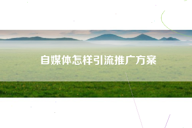 自媒体怎样引流推广方案