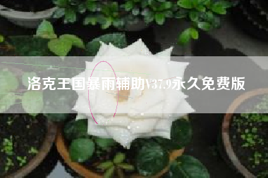 洛克王国暴雨辅助V37.9永久免费版